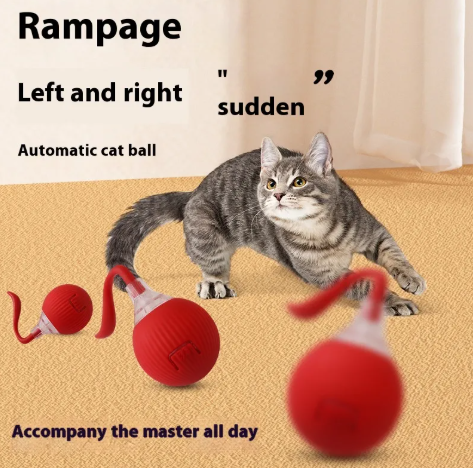 Interactive cat toy ball with multiple play modes and bird sounds
