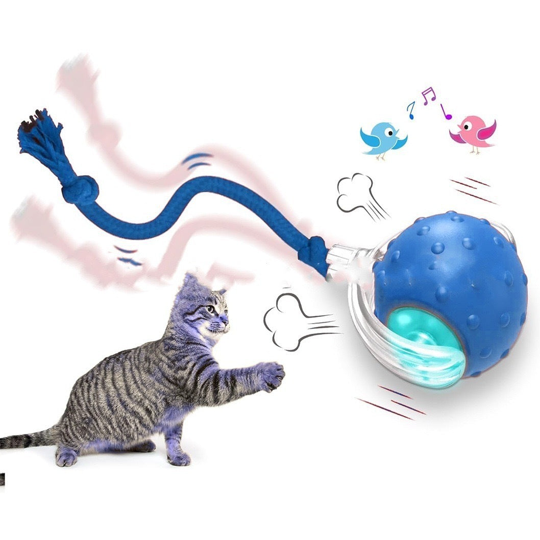 Interactive Cat Toy Ball – Automatic Rolling Toy with Bird Sounds