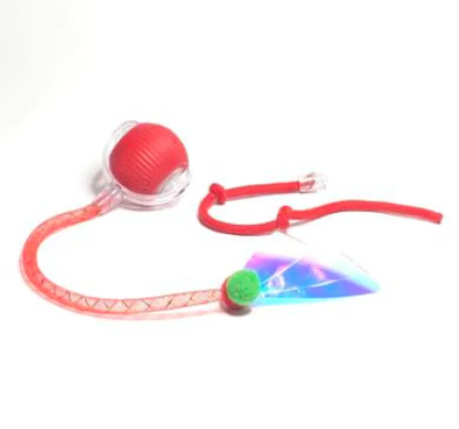 Interactive Cat Toy Ball – Automatic Rolling Toy with Bird Sounds